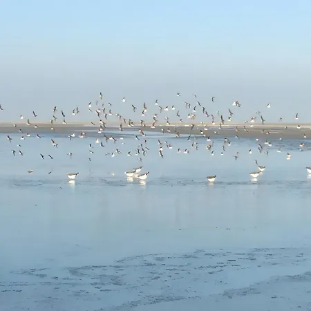 Maison De Pecheur Σπίτι διακοπών