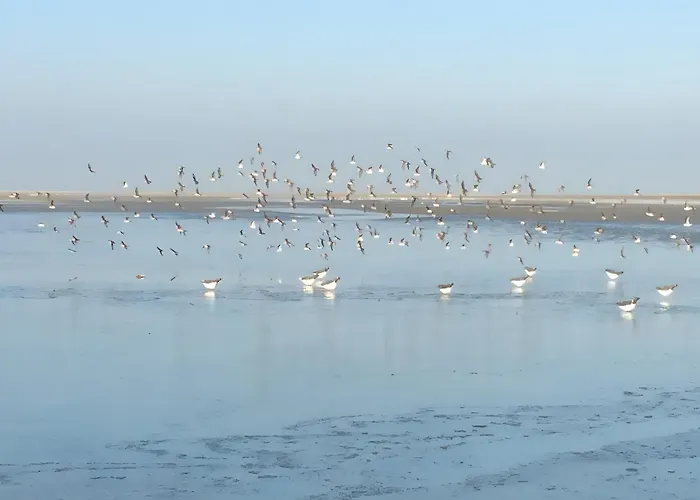 Maison De Pecheur Σπίτι διακοπών